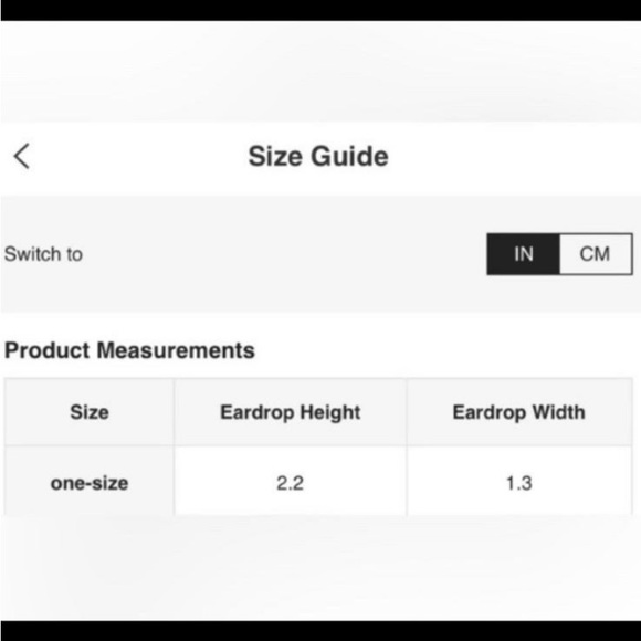 Leopard Geometric Drop earrings - Picture 6 of 6